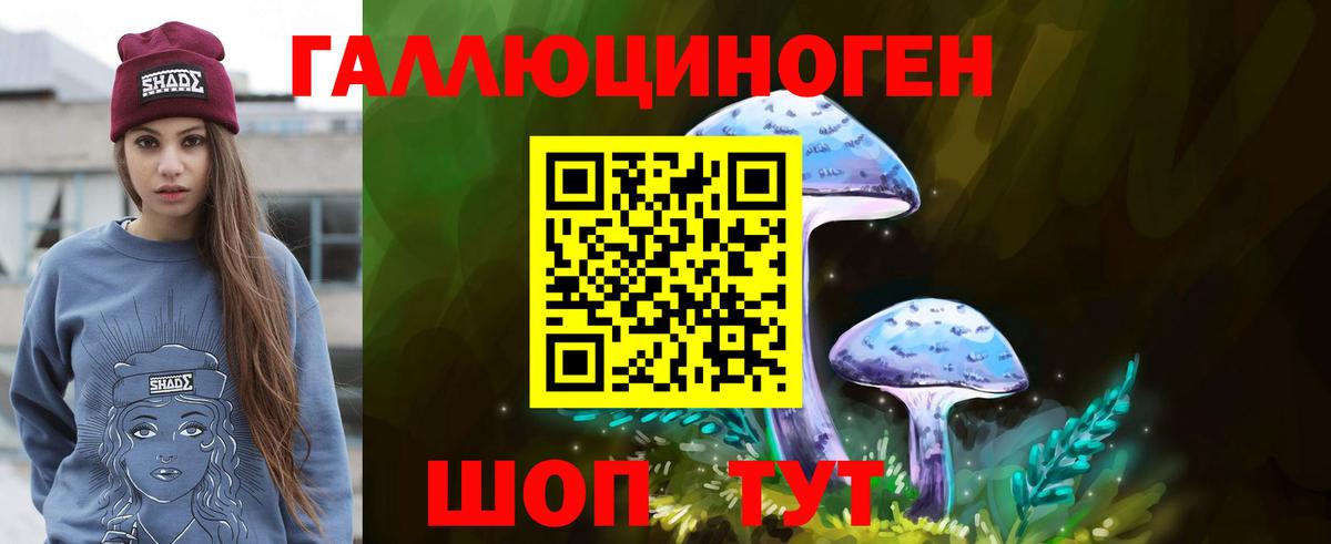 Псилоцибиновые грибы Psilocybe Саки